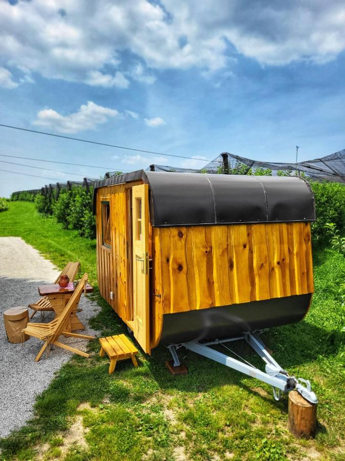 Willa Unique Wooden Holiday House In Nature Lukovica pri Domžalah Zewnętrze zdjęcie