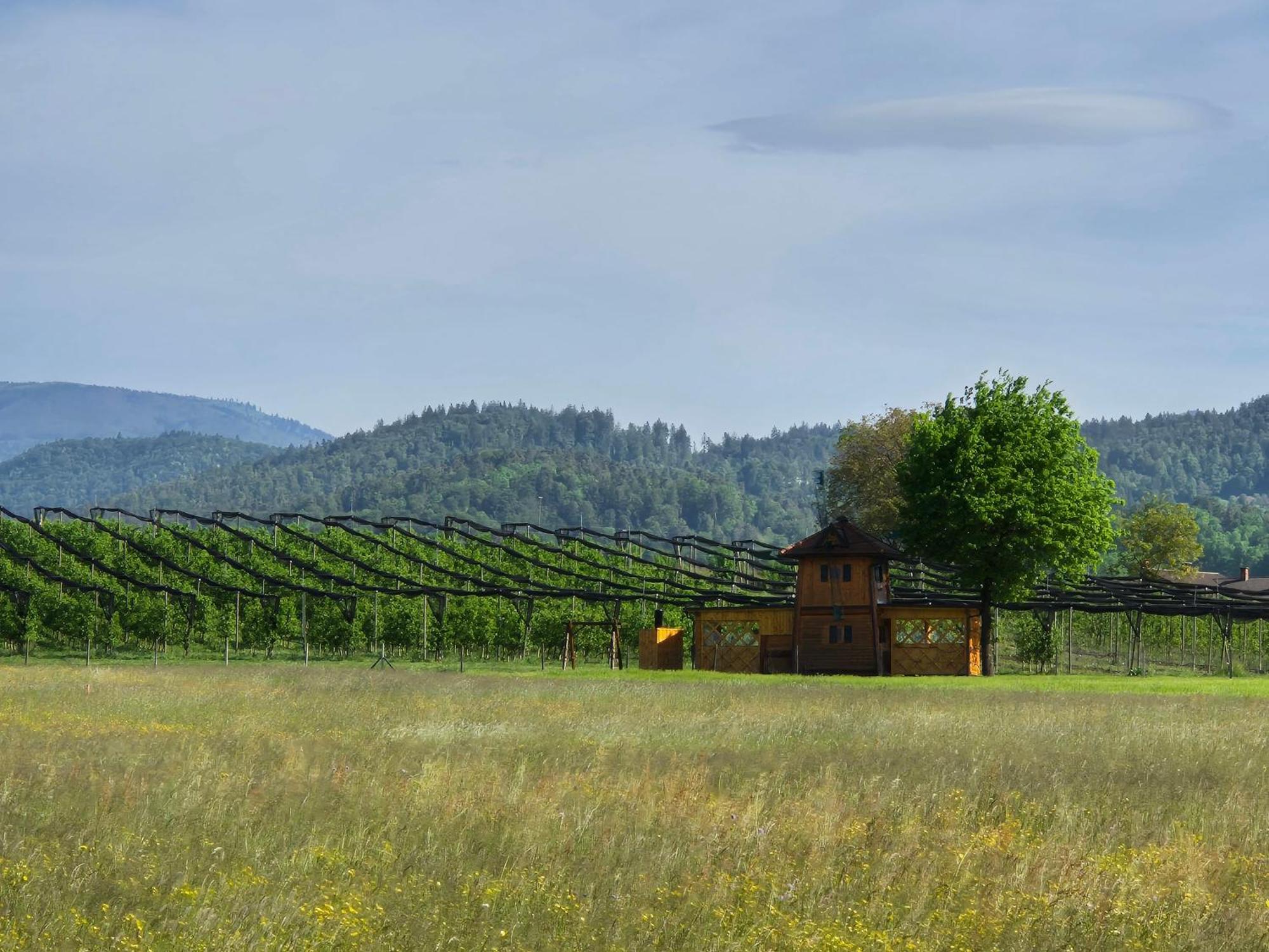 Unique Wooden Holiday House In Nature Lukovica pri Domžalah Zewnętrze zdjęcie