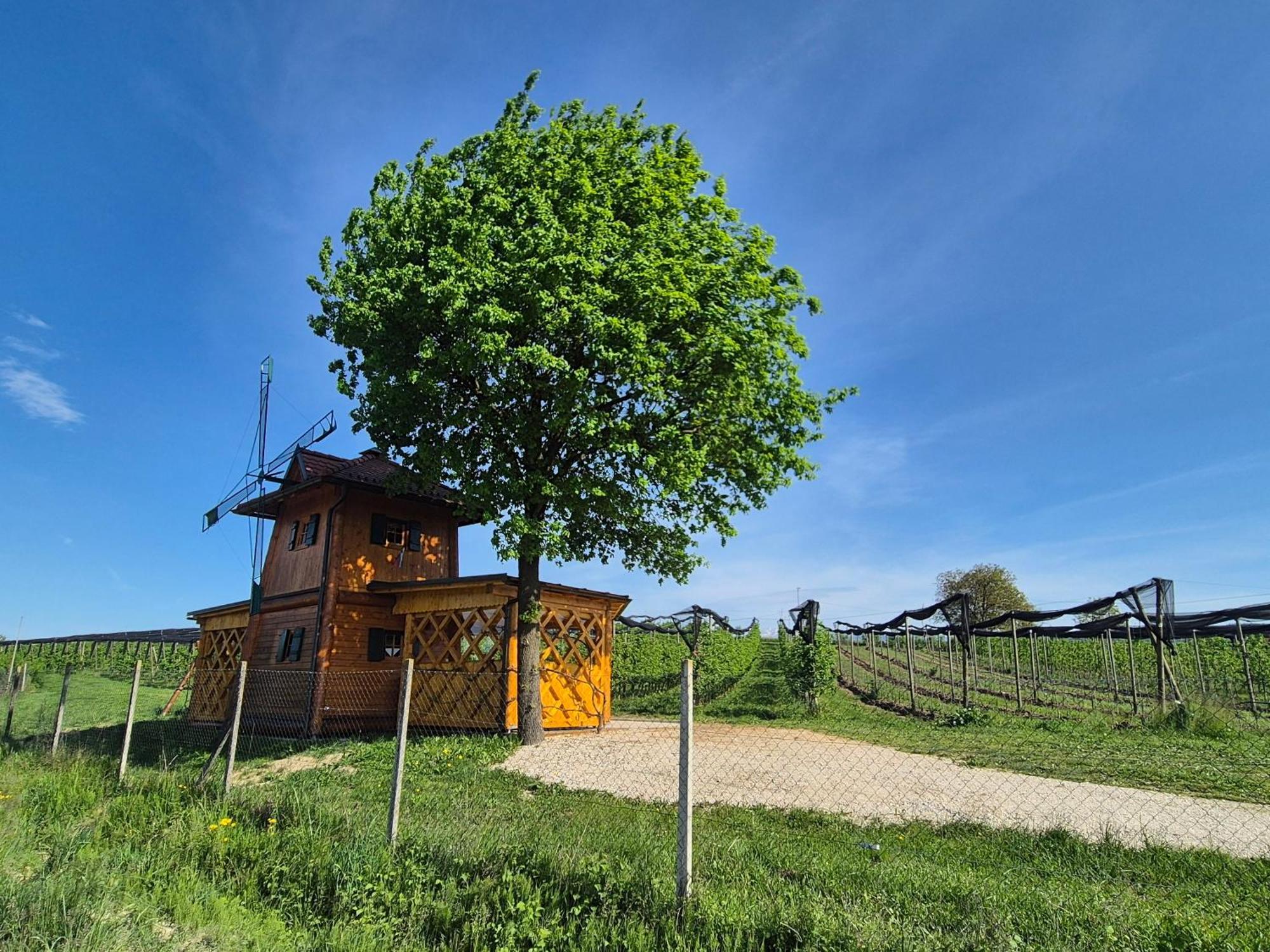 Unique Wooden Holiday House In Nature Lukovica pri Domžalah Zewnętrze zdjęcie